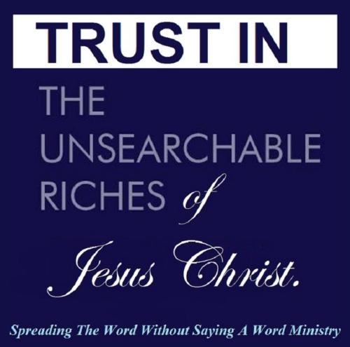 11218988_1023610281054436_4937791568691018417_n