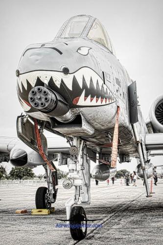 287068853_111652718237036_7700703622471931654_n