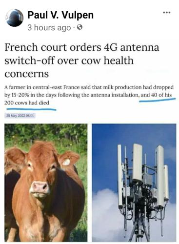 Screenshot_2022-06-09-06-40-18-098_com.facebook.katana~2