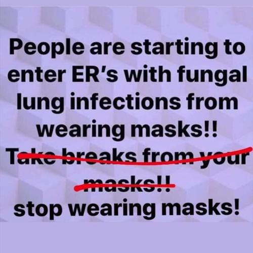 FB_IMG_1656372604730