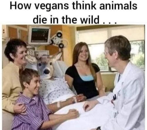 20220609154529