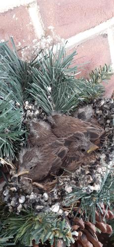 22:42:36 GMT-0400 (EDT)