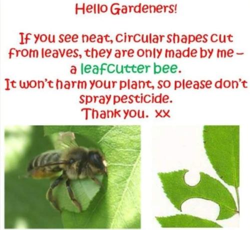 286032954_4904053549724417_7390250172983960225_n