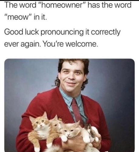 Screenshot_20220617-172745_Instagram