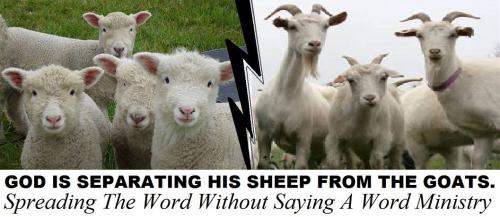 11143093_1010193255729472_3143531099788693359_o