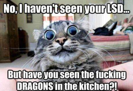 FB_IMG_1655064632110