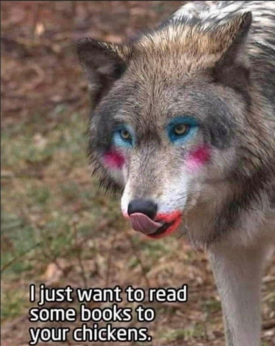 285793882_391484643033641_2971623552644053678_n