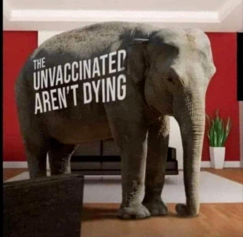 Screenshot_20220610-152634~2