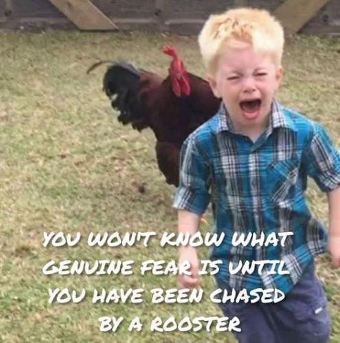 104434932_3322834647748248_8849580498929634865_n