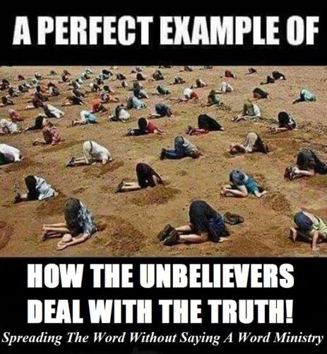 ddaa64a6e157d8214a6343b3d69409b4_1024