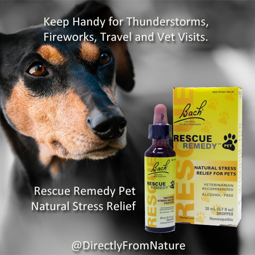 Rescue Remedy Pet 210210_1400