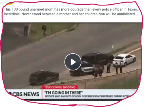 snapshot_gab.com_1654310843813