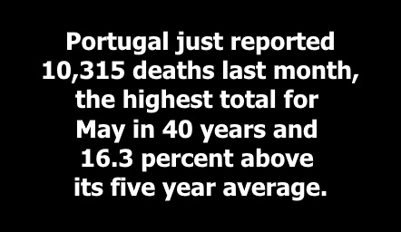 Portugal Death Rate 2022