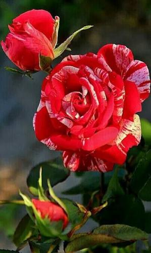 09:19:48 GMT-0500 (CDT)