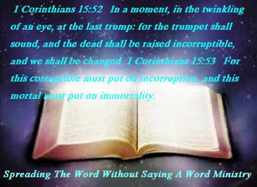 278532918_529472362231399_909230397582038002_n