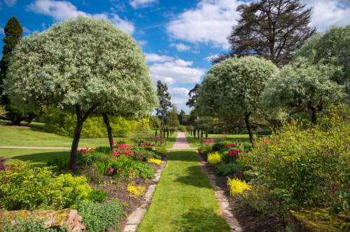 !   Cholmondeley Castle gardens