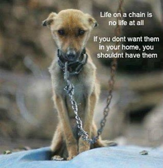 13:30:39 GMT-0500 (CDT).image