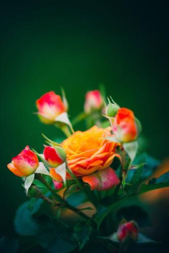 09:36:11 GMT-0500 (CDT)