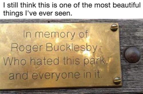 FB_IMG_1655584064696