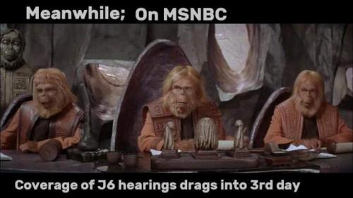 FB_IMG_1654969173837