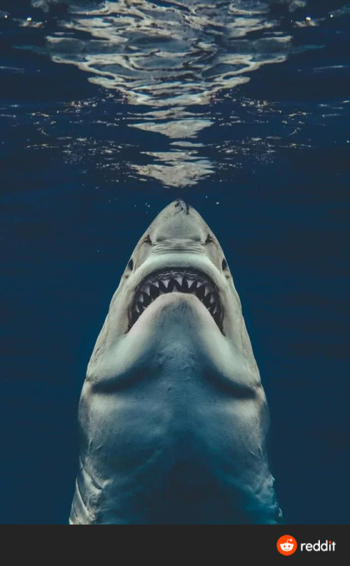 RDT_20220524_115756323327798949925963