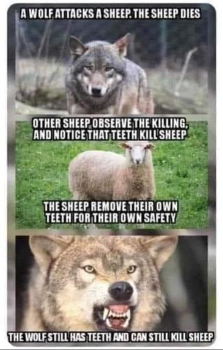 FB_IMG_1653918736935