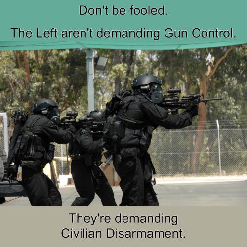 The Left aren't demanding Gun Control Civilian Disarmament - SWAT