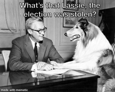 photo_2022-06-13+13_21_04++0000