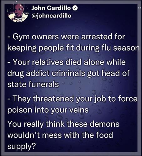 xephula_0b4a6d216a41b8d36a649b35104d0578