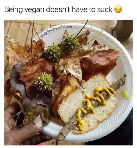 FB_IMG_1654001143087