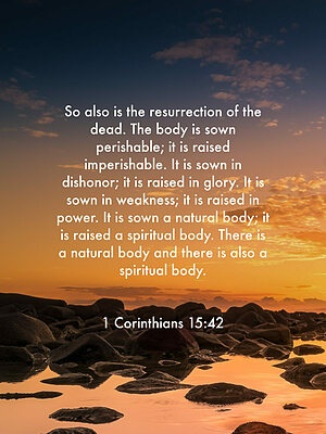 08:55:12 GMT-0400 (EDT)