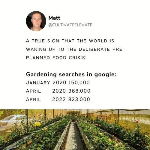 photo_2022-06-05_18-41-38