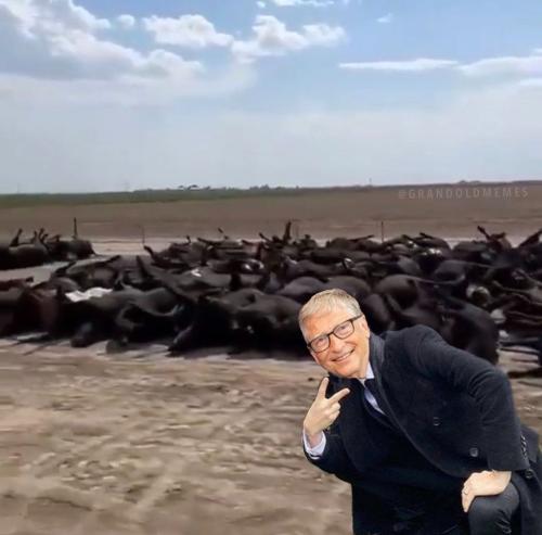 Screenshot_20220617-172431_Instagram