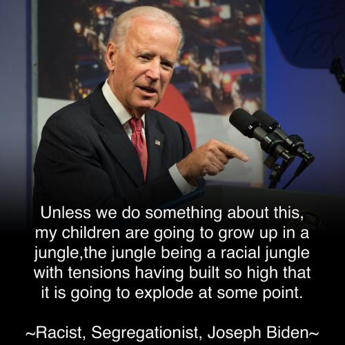 Racial Jungle - Joe Biden Pointing Speech