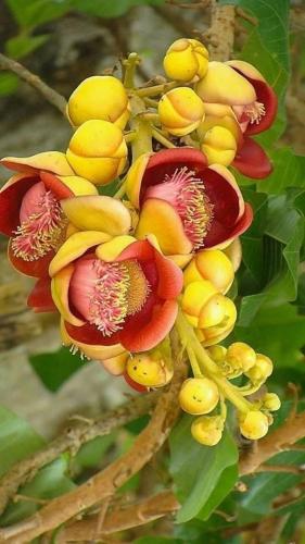 19:47:07 GMT-0500 (CDT)