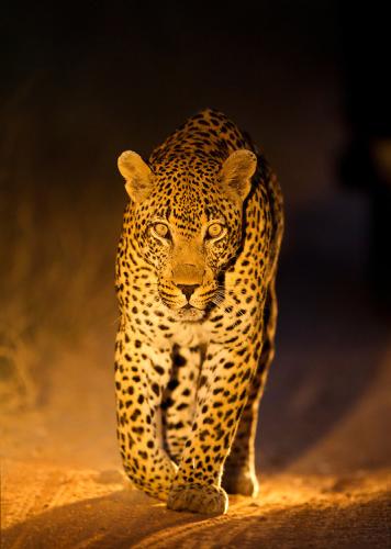 tumblr_921d197d5e3876cb5714f19e3276f690_374d6caa_540