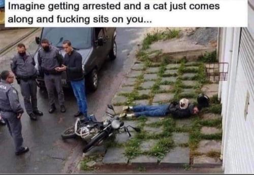 FB_IMG_1655481244392