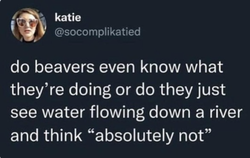 captures_chrome-capture-2022-5-23 (21)