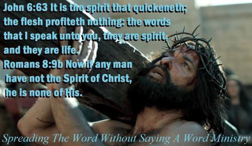 51294681_2156713307744122_7040705515709530112_n