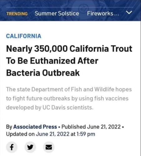 FB_IMG_1655954192921