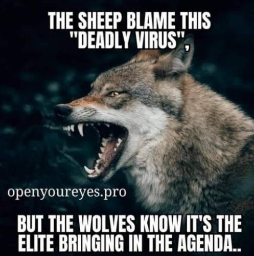 Screenshot_20220629-174319_MeWe