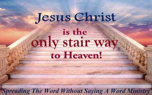 12794898_1012366392178825_4862358363481116726_o