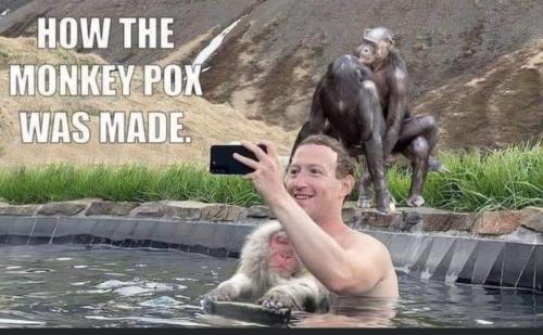 FB_IMG_1654403112004