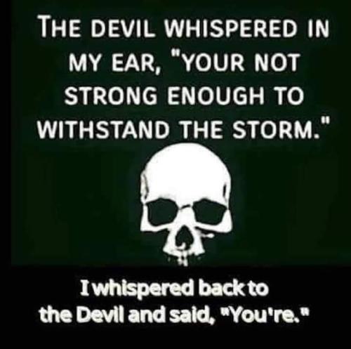 FB_IMG_1656521648268