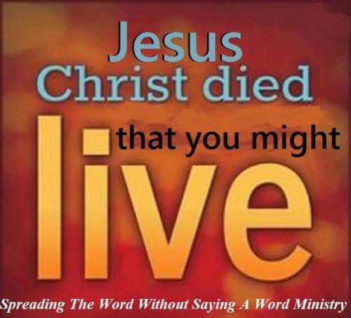 12800247_1006335916115206_1109411219756661978_n