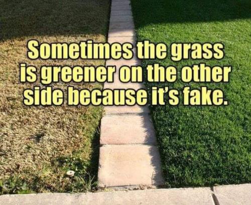 FB_IMG_1656512590558