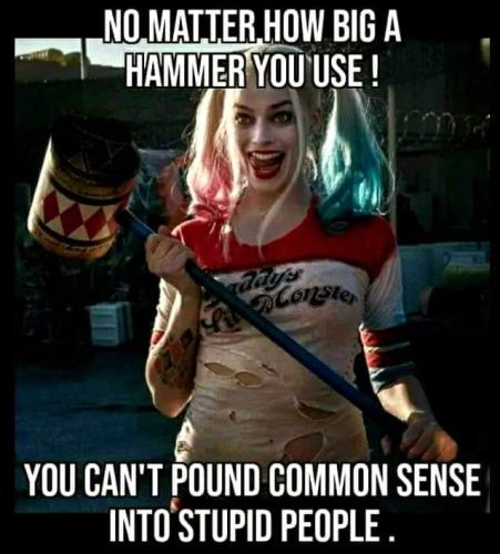 FB_IMG_1655413162061