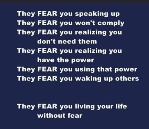 285334495_1727158084294846_218912194346794533_n