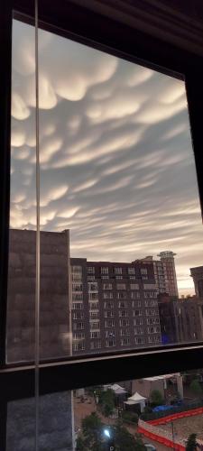 92b49507-6516-46eb-a408-618eb38d70a1