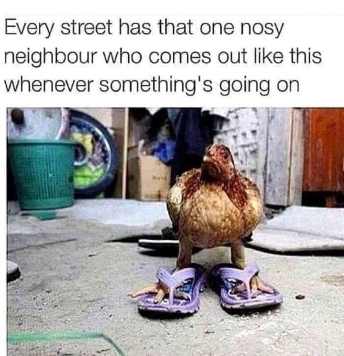 FB_IMG_1656100746481